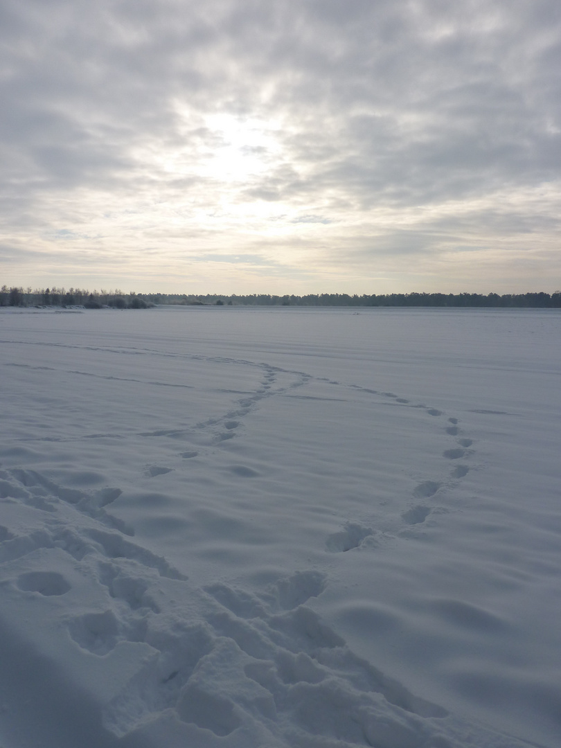 Der Lange Weg