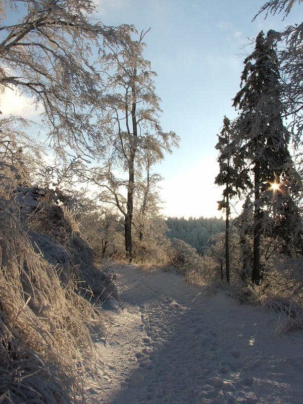 der lange weg auf den inselsberg