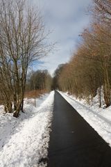 der lange Weg aus der Pandemie