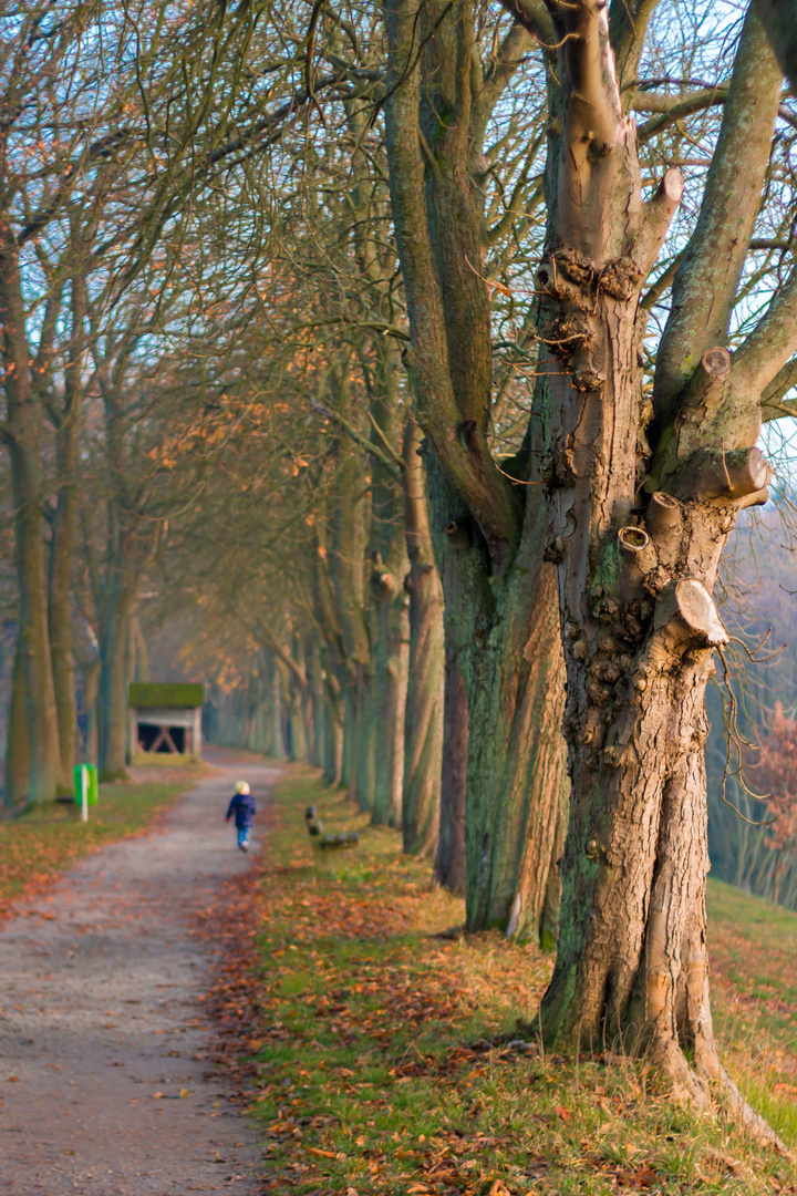 Der lange Weg