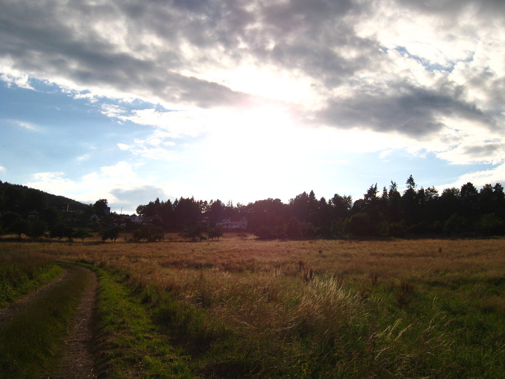 Der lange Weg