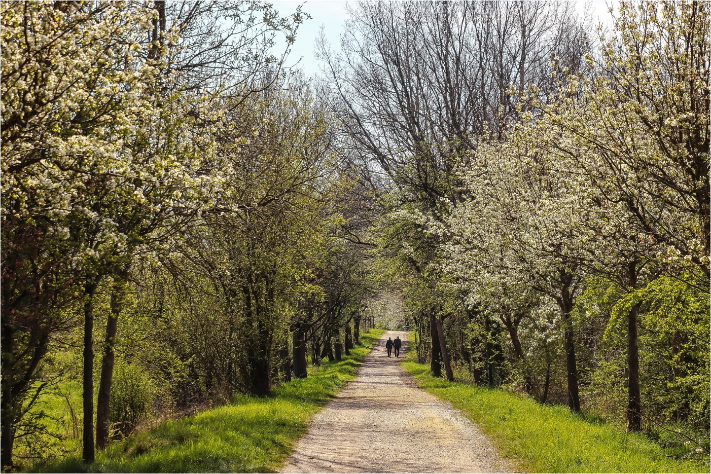 Der lange Weg