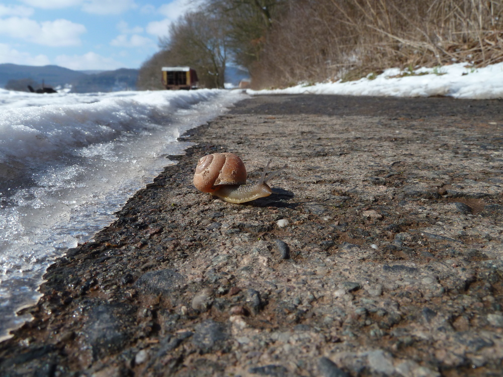 Der lange Weg in den Frühling