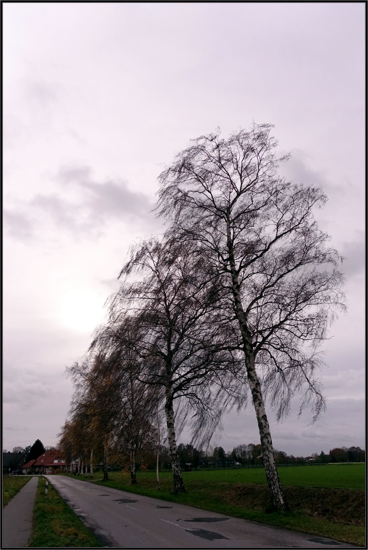 Der lange Weg in die Heimat