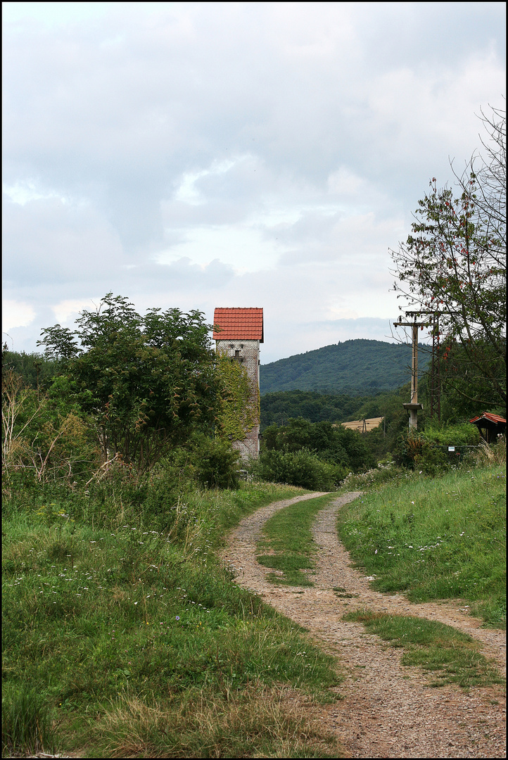 Der lange Weg ins Nirgendwo...