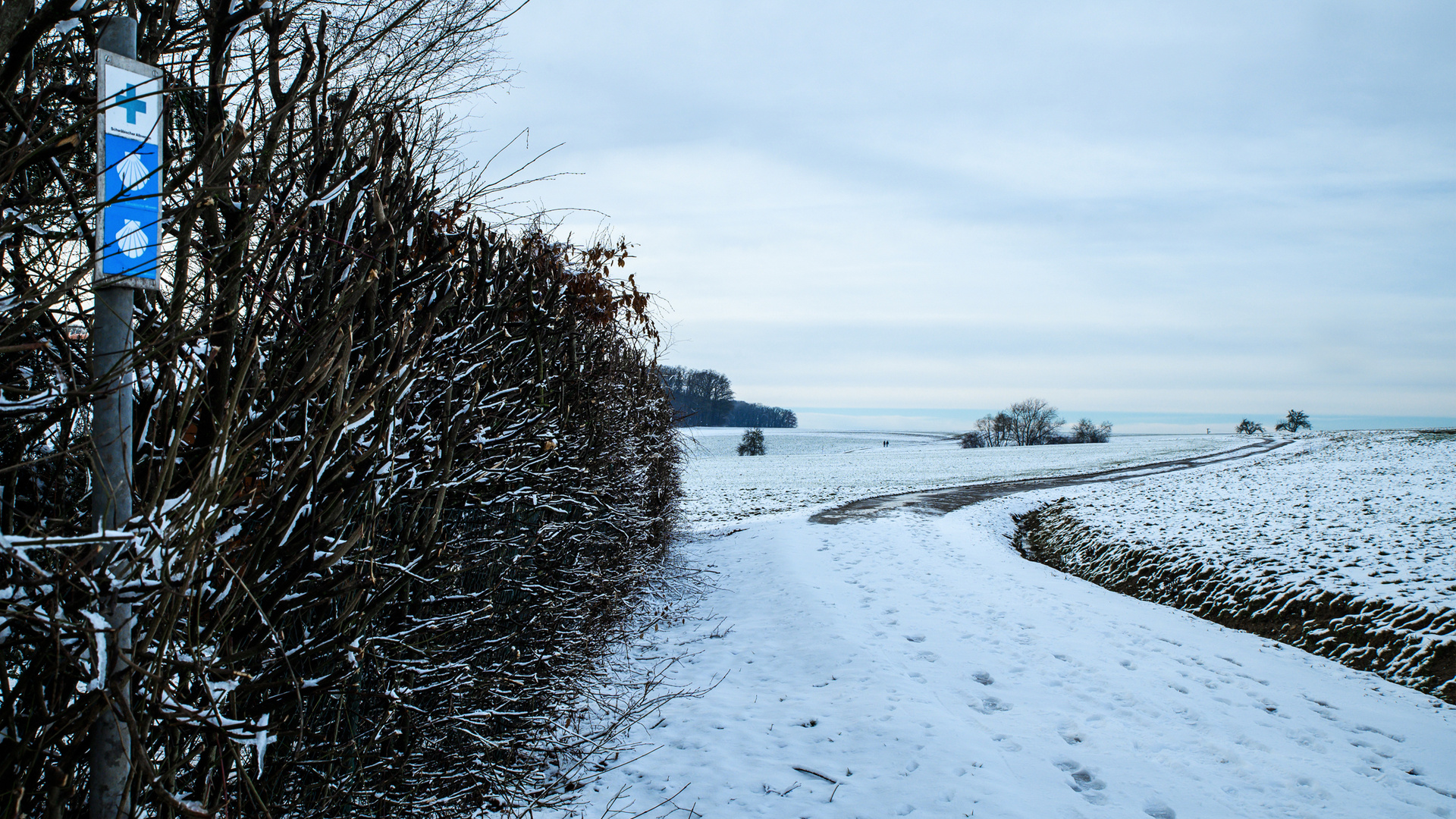 Der lange Weg - le long chemin