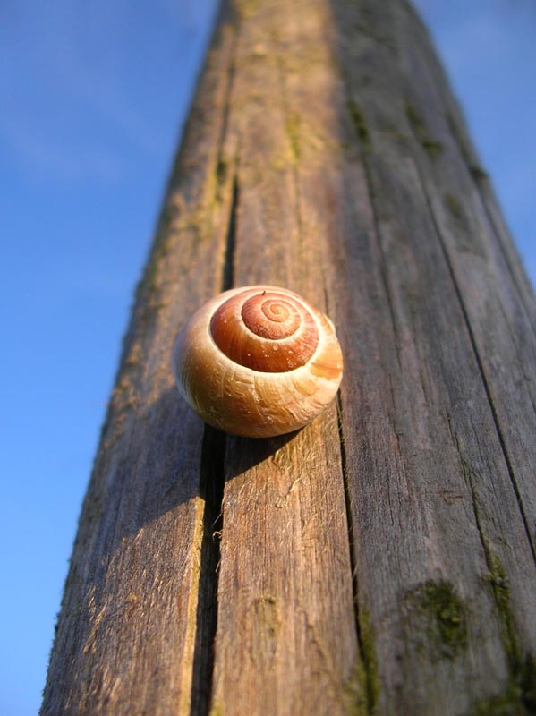 der lange weg nach oben