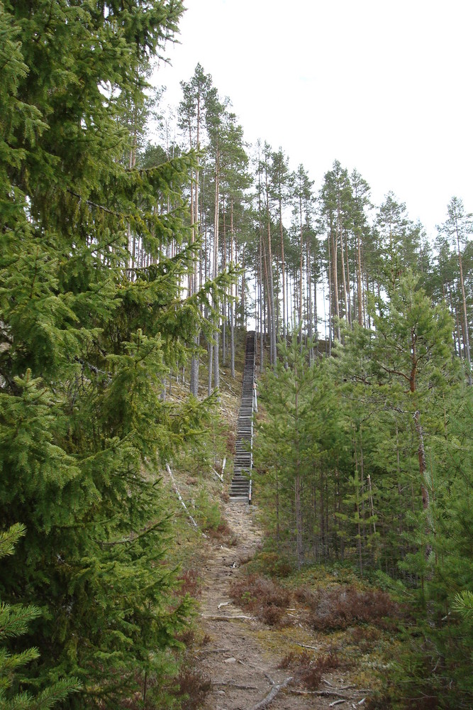 der lange weg nach oben..