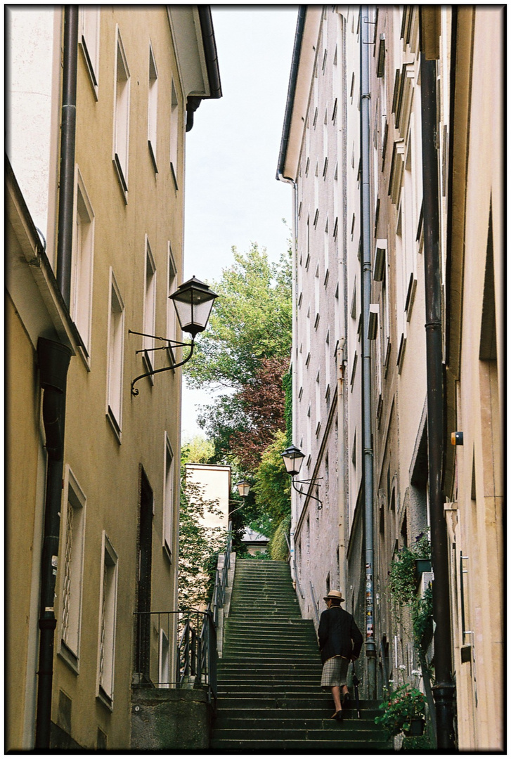 der lange weg nach oben