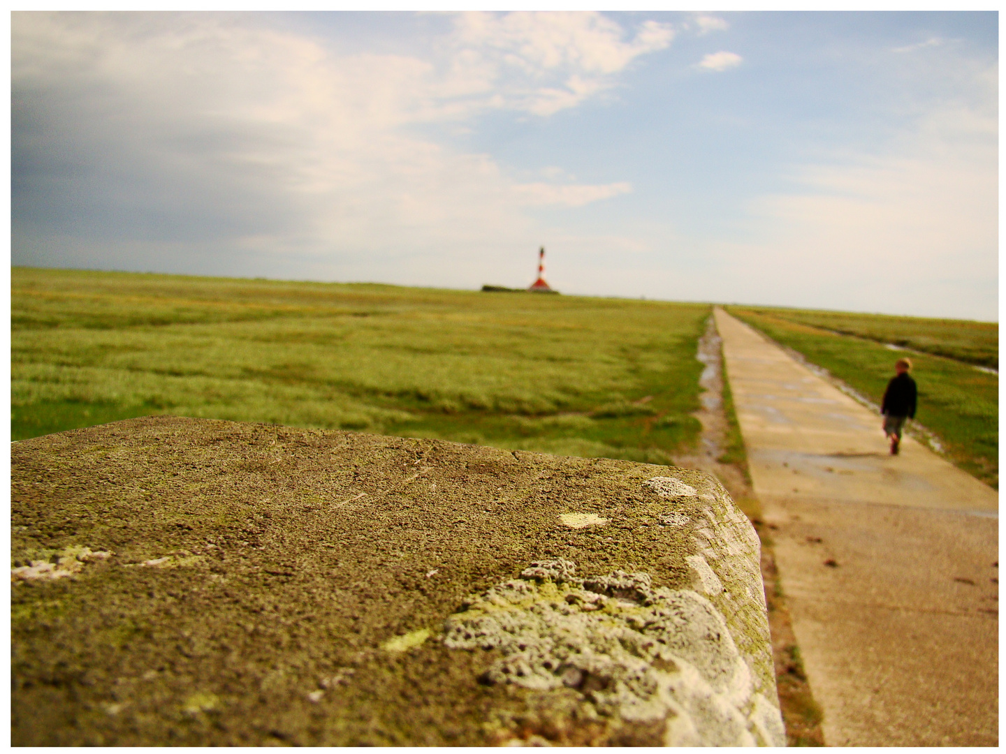 -der lange Weg zum Leuchtturm-