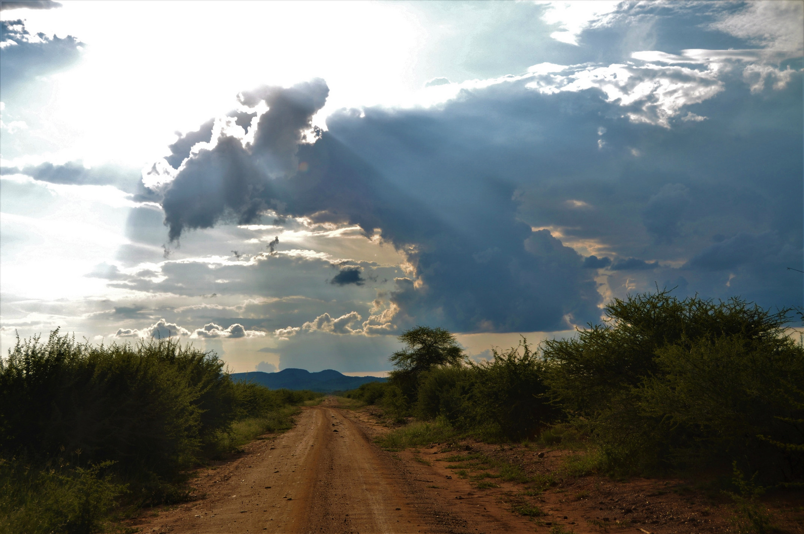 Der lange Weg zum Licht