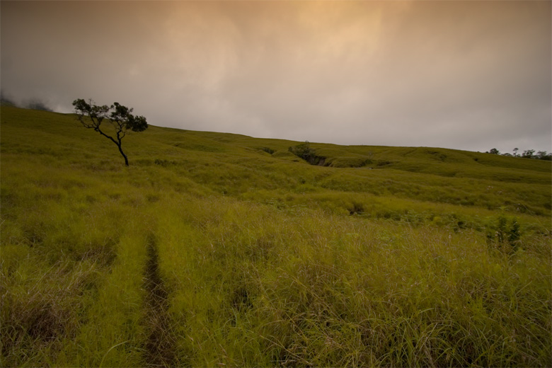 Der lange Weg zum Mt. Rinjani