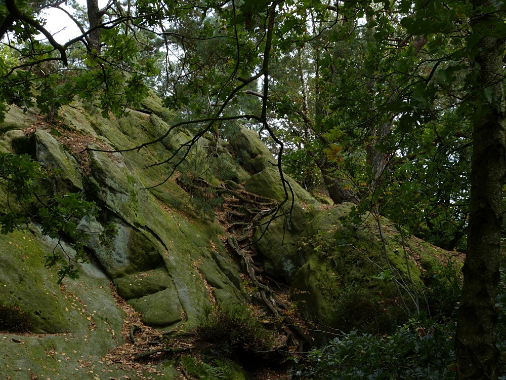 Der lange Weg zum Wasser