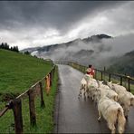 Der lange Weg zur Alp