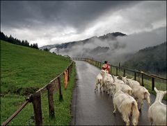 Der lange Weg zur Alp