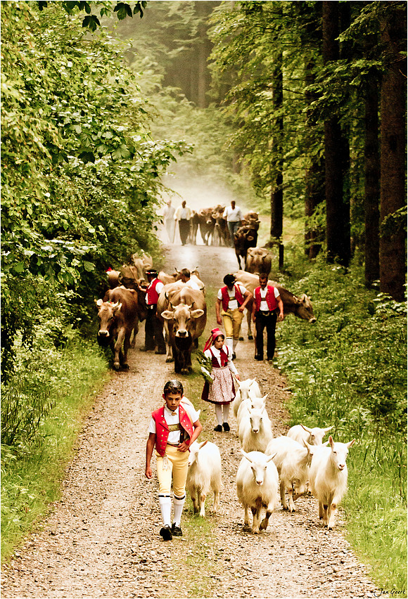 Der lange Weg zur Alp II