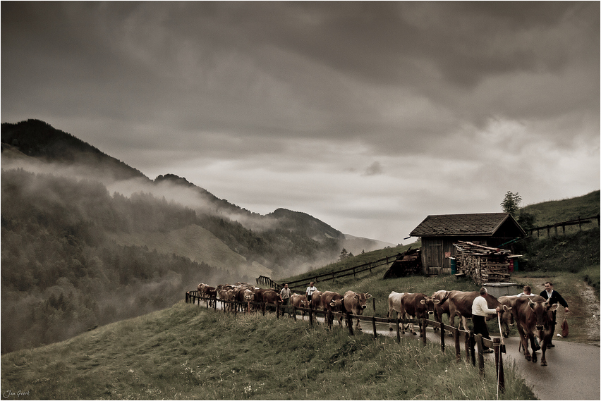 Der lange Weg zur Alp III