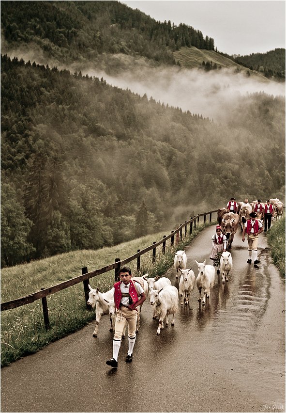 Der lange Weg zur Alp IV