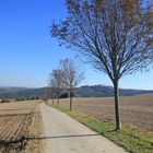 der lange Weg zur Augustusburg