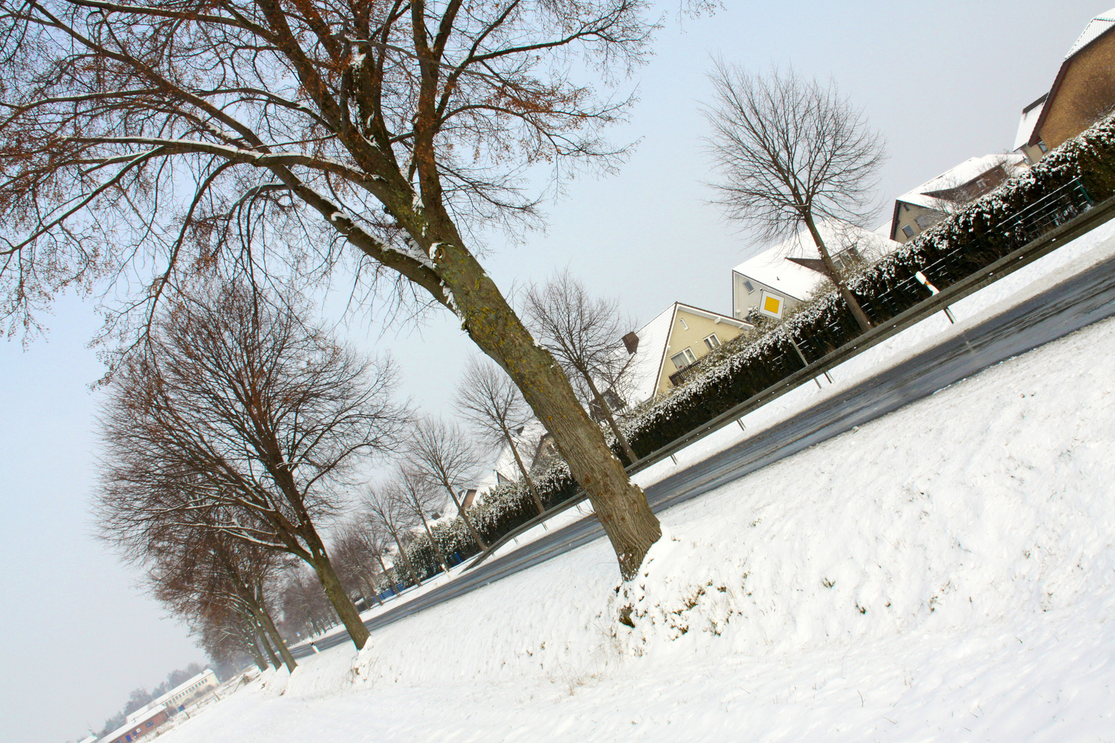 Der lange Winter