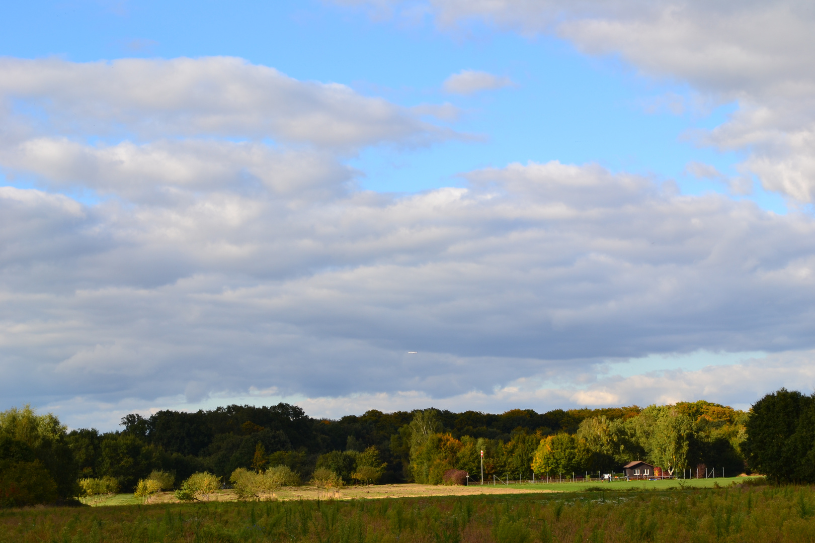 Der Langener Wald