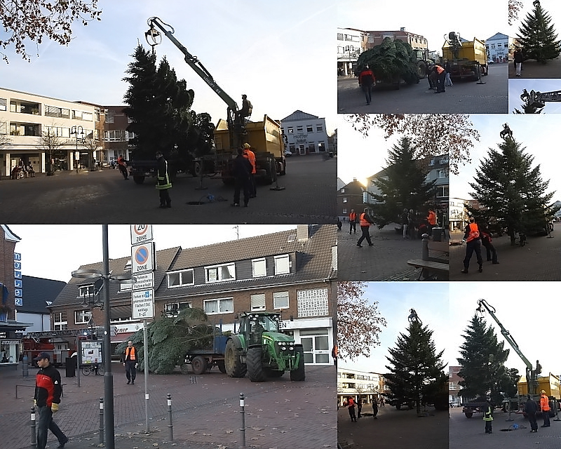 Der langersehnte Tannenbaum für den Bankenvorplatz ist eingetroffen