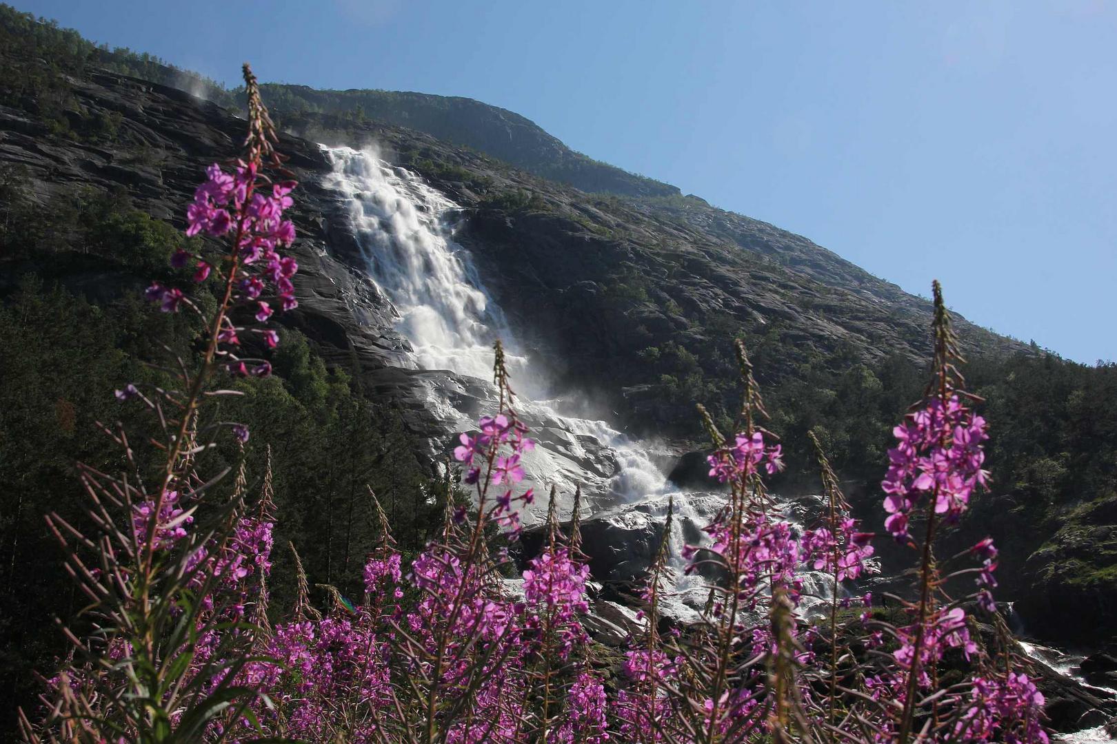 Der Langfossen am Akrafjord bei Etne....