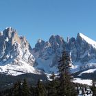 Der Langkofel in Südtirol