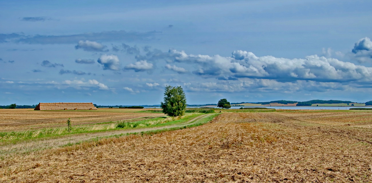 der langsame Abschied vom Hochsommer