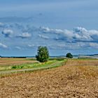 der langsame Abschied vom Hochsommer