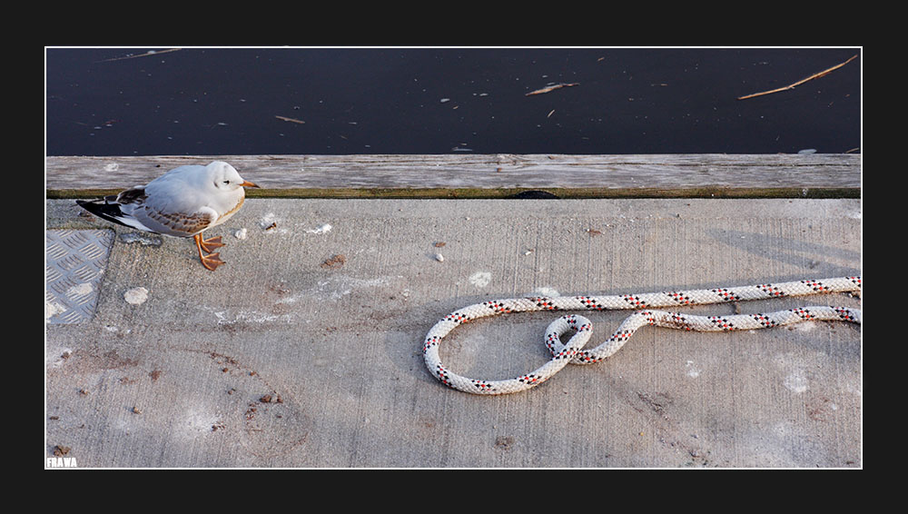 Der langweilige Alltag im Hafen