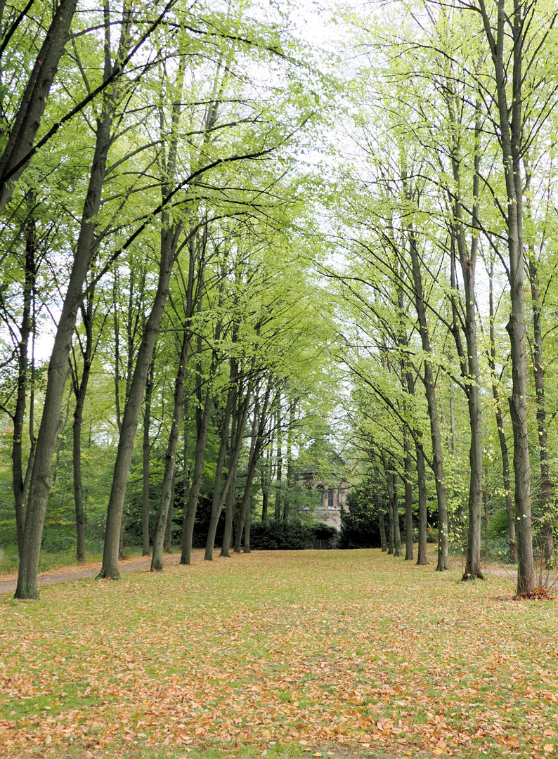 Der Lantz'scher Park In Düsseldorf…