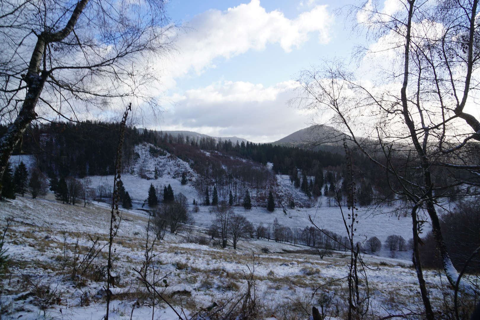 Der Laudenbach und dahinter der Hermannsberg