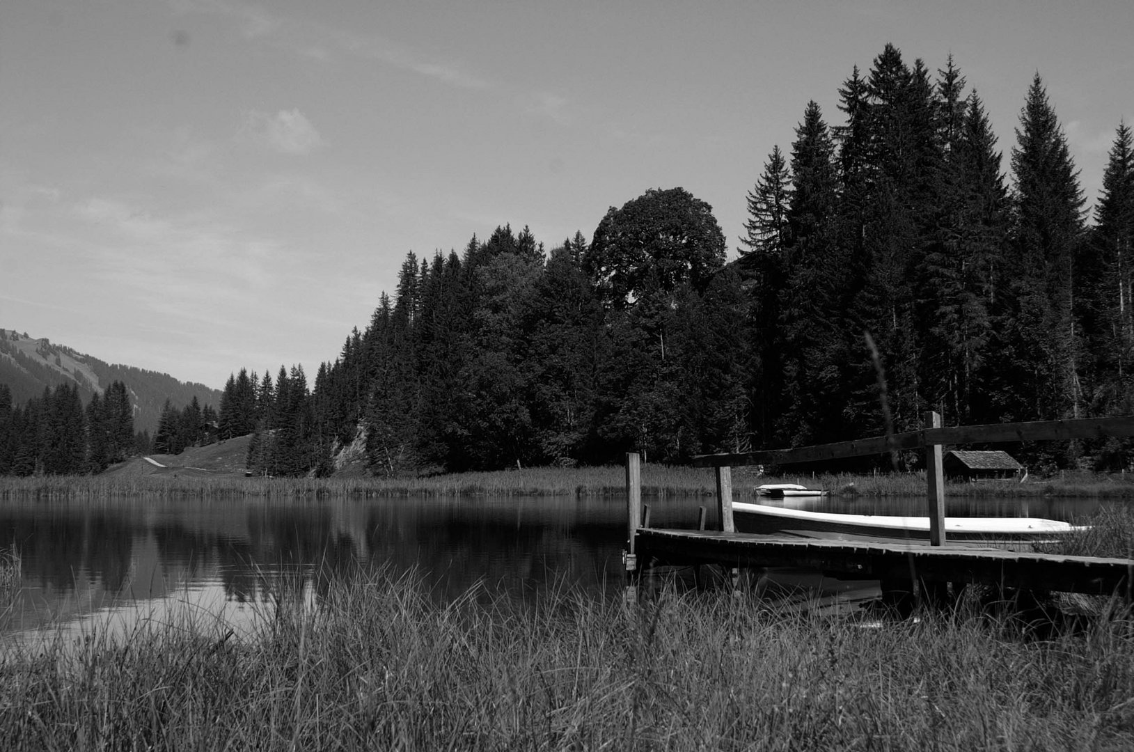 Der Lauenensee