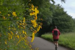 Der Lauf am Waldrand