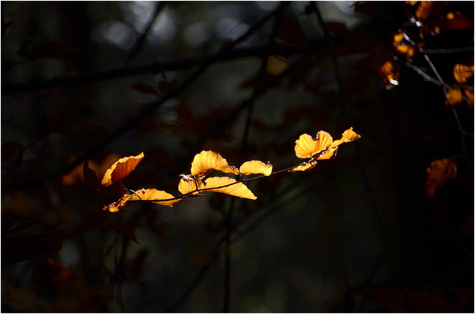 der lauf der dinge