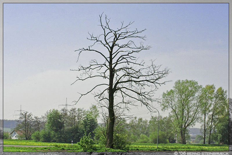 Der Lauf der Natur