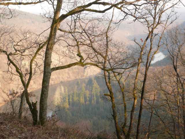 der Lauf der Natur