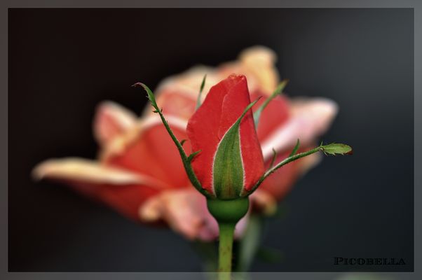 Der Lauf der Zeit......