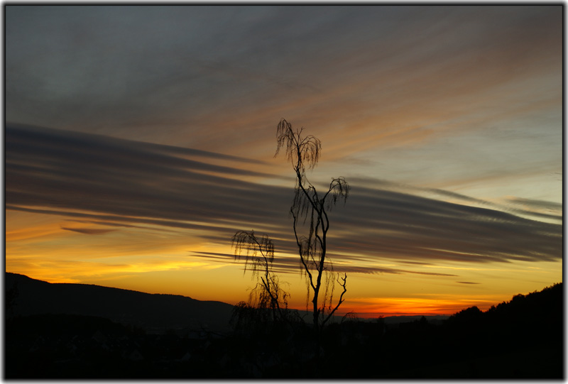 Der Lauf des Lebens