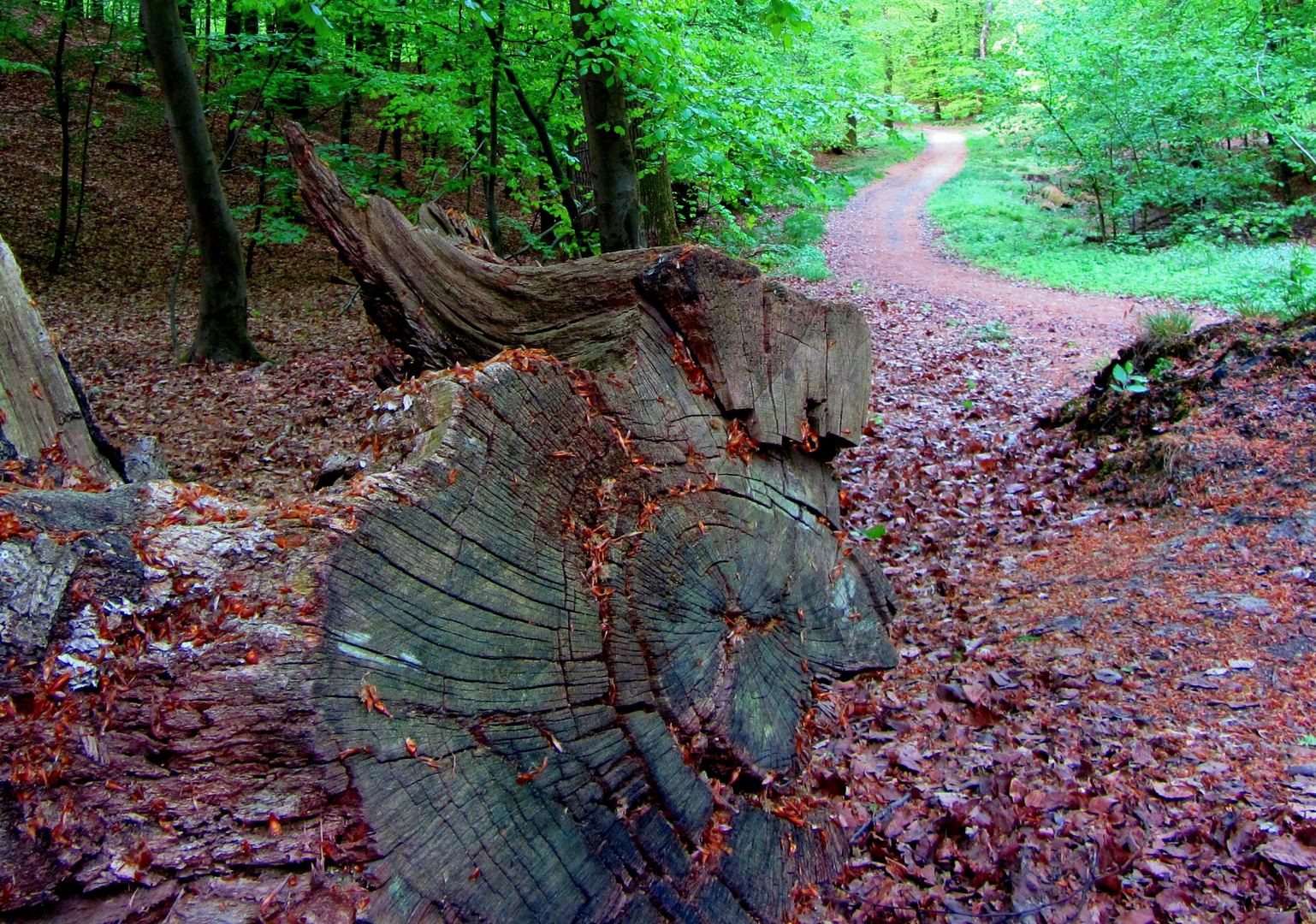 Der Lauf des Lebens