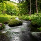 Der Lauf des Lebens / mit KI bearbeitet