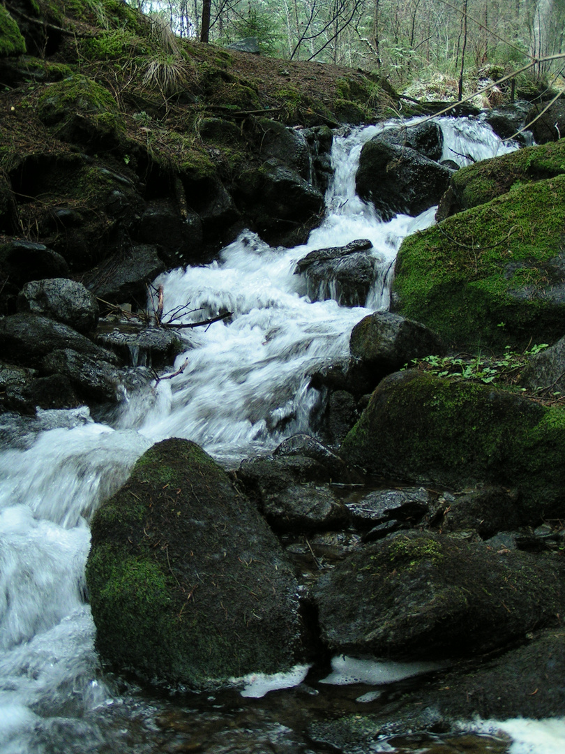 ..der Lauf des Wassers