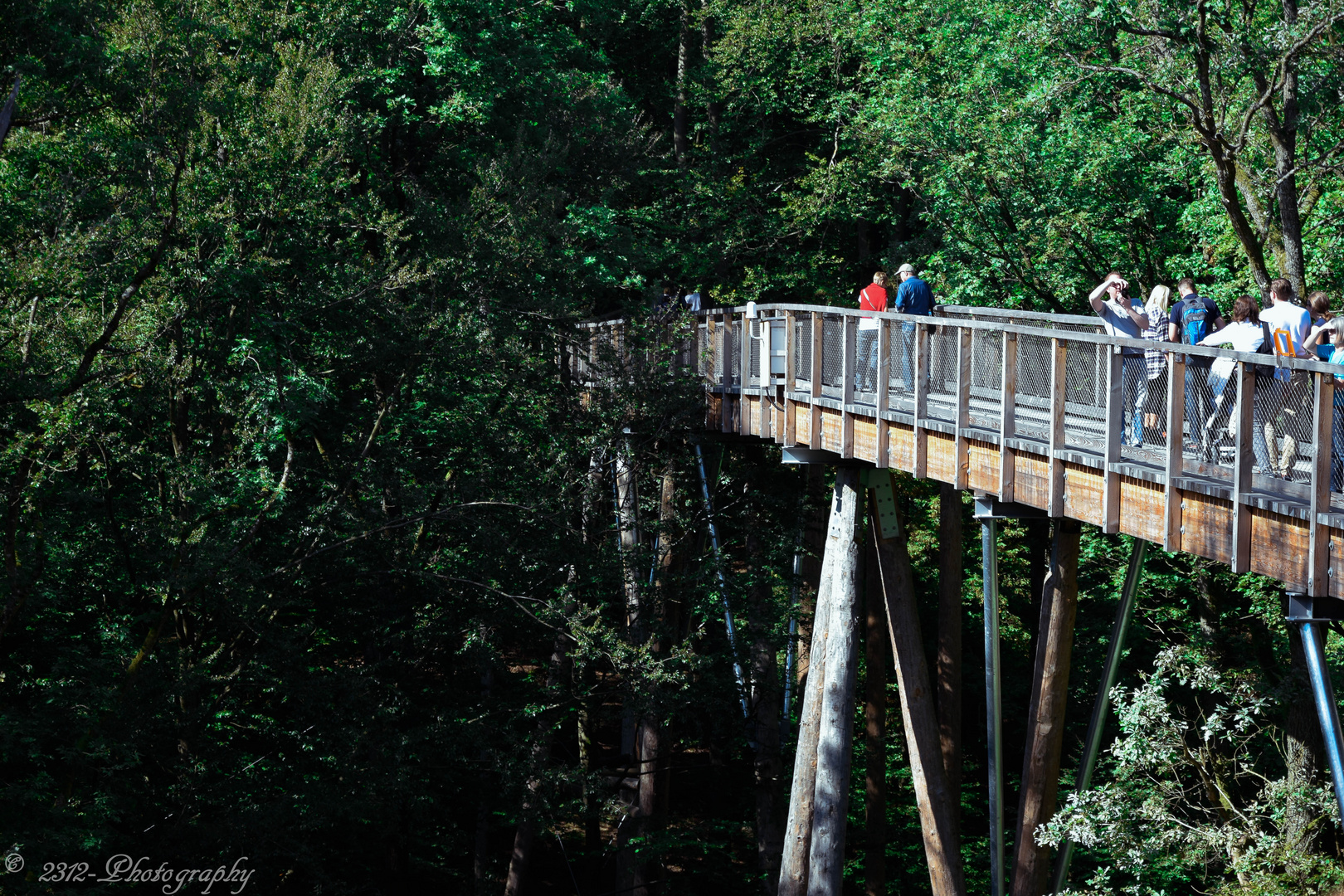 Der Laufpfad  des Baumwipfelpfades im Steigerwald 