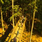 Der Laufpfad  des Baumwipfelpfades im Steigerwald