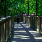 Der Laufpfad des Baumwipfelpfades im Steigerwald