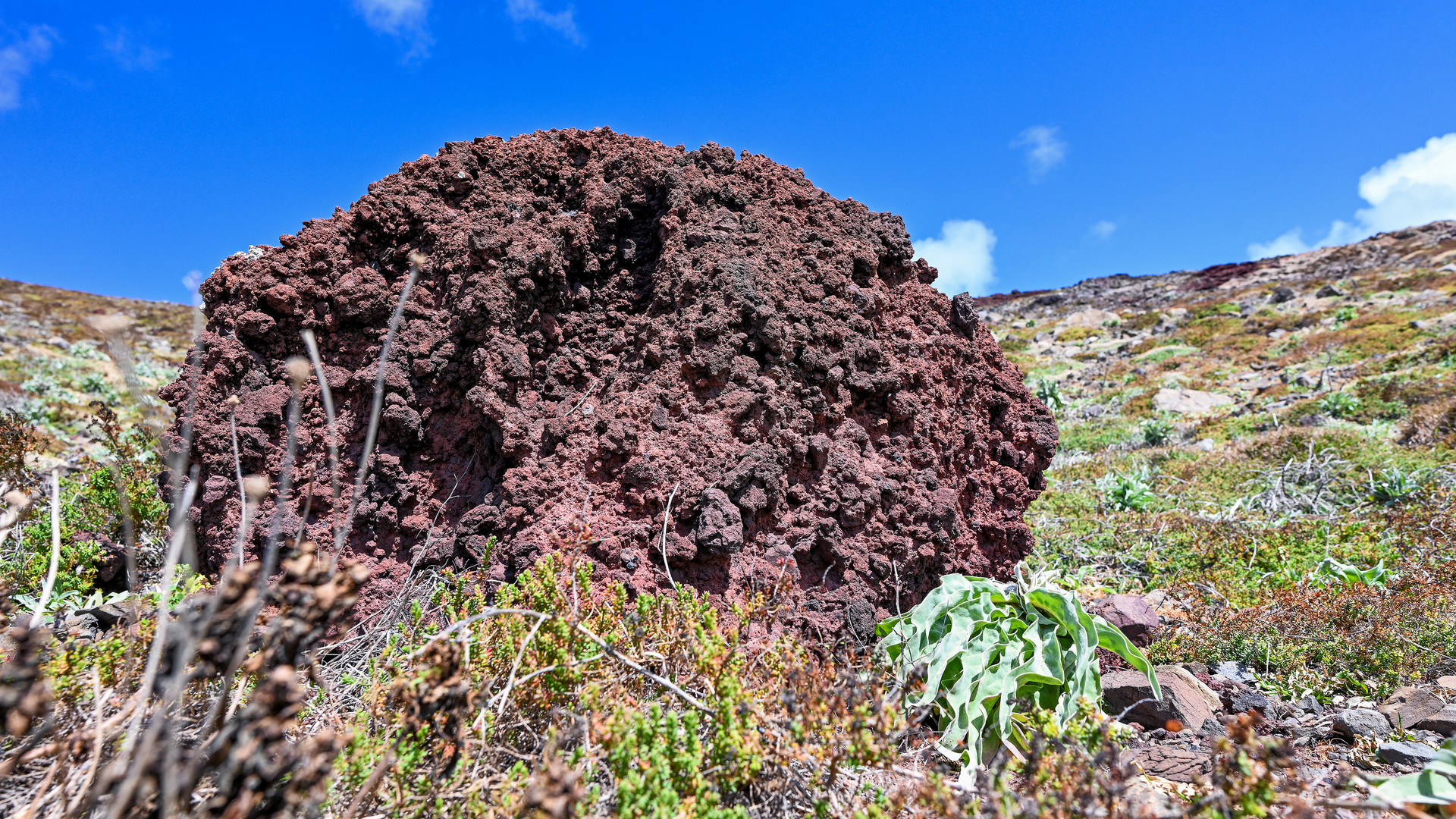 Der Lavafelsen