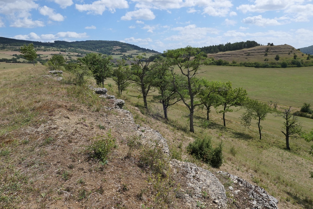 Der Lebensraum der Berghexen in der Thüringischen Rhön 01