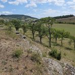 Der Lebensraum der Berghexen in der Thüringischen Rhön 01