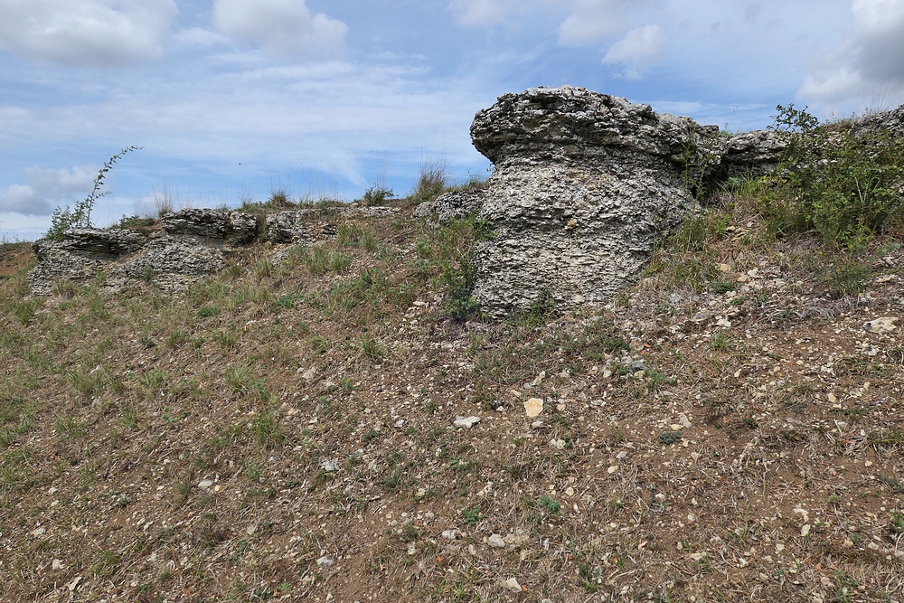 Der Lebensraum der Berghexen und Ockerbindigen Samtfalter in der Thüringischen Rhön 02